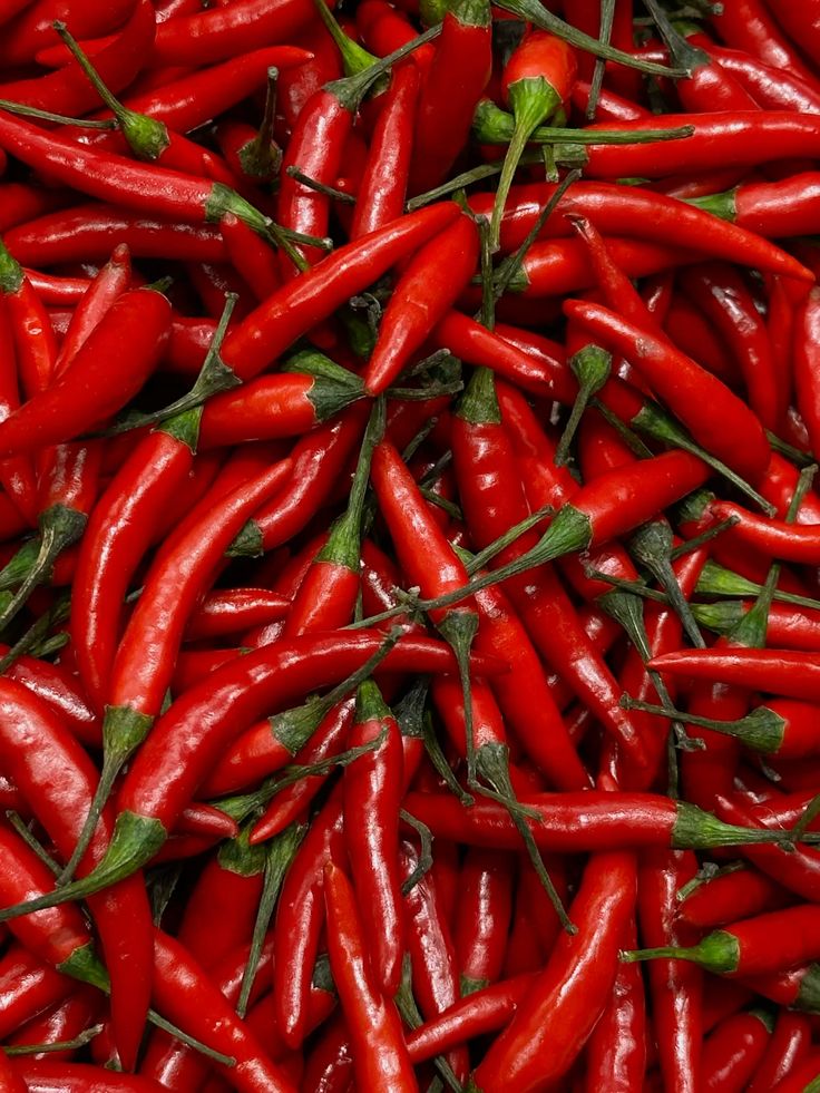 Red Chilli Export Stock