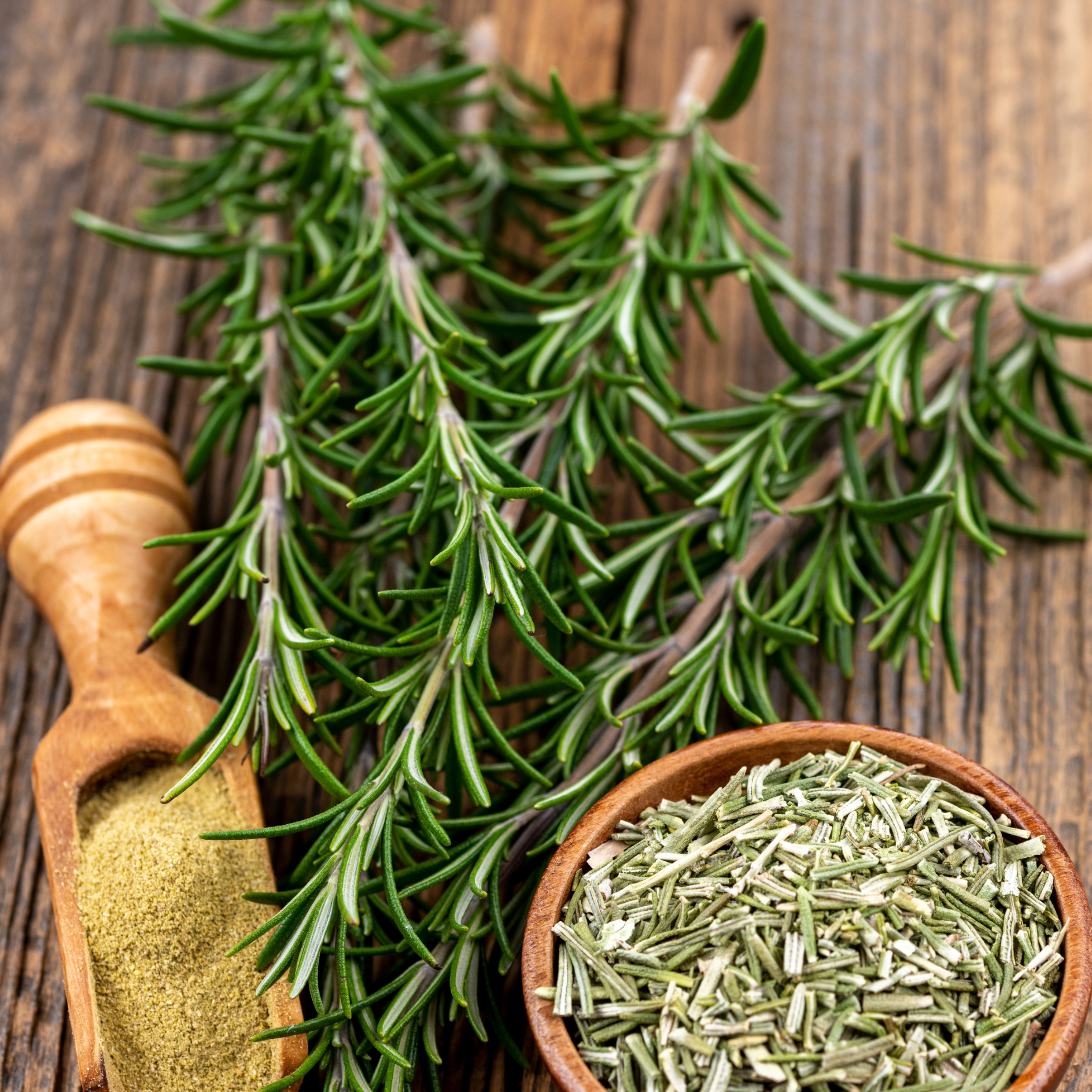 Kashmiri Rosemary